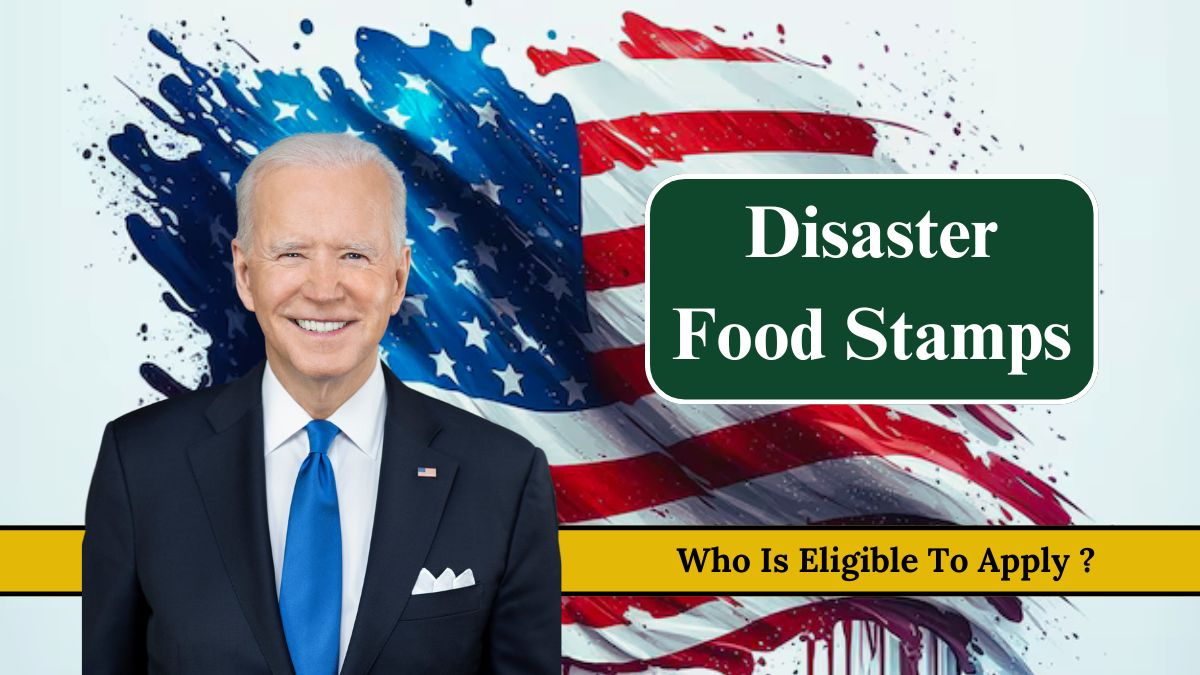 Disaster Food Stamps